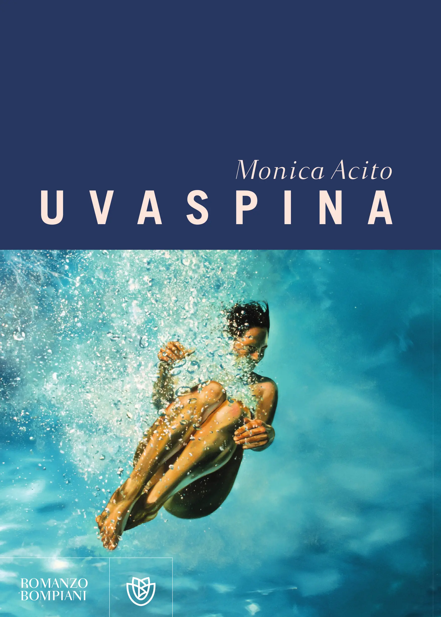 Uvaspina, la copertina del libro