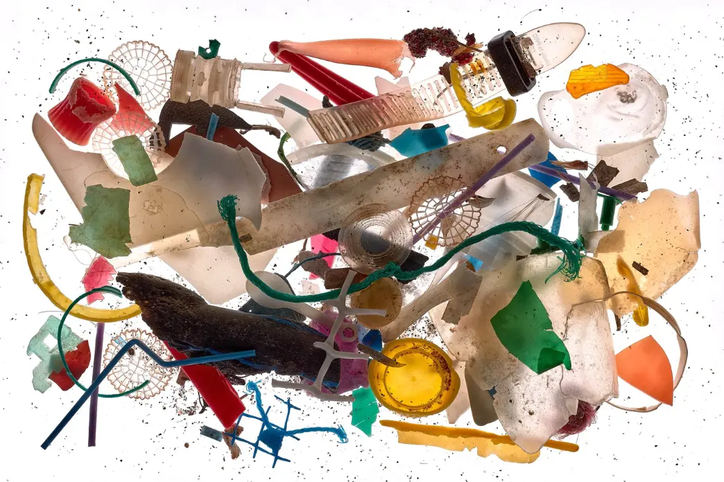 Una foto della mostra di Ivano Piva (ufficio stampa)