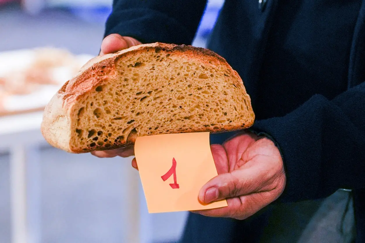 Tundu di Ploaghe del panificatore Antonio Me