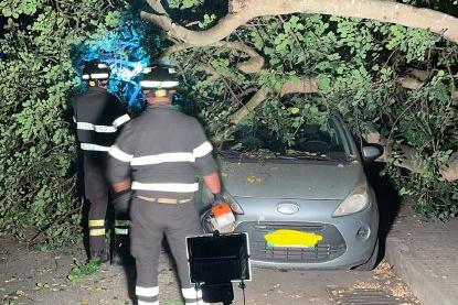 Sassari, albero crolla su una macchina nel quartiere Cappuccini