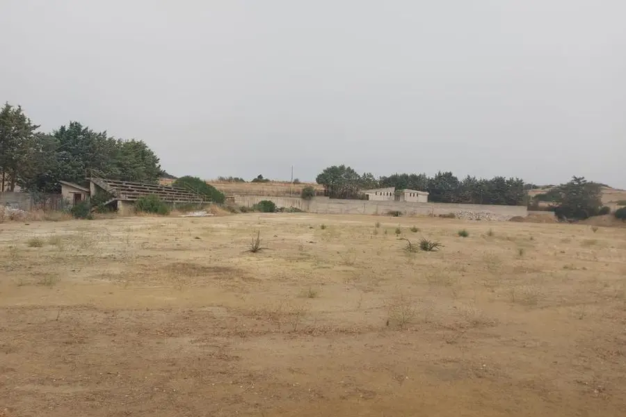 Il campo di Nureci allo stato attuale (foto G. Pala)