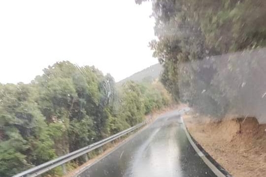 La pioggia nelle campagne di Erula (L'Unione Sarda - Tellini)