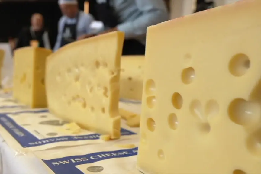 Swiss Cheese Awards, migliori formaggi svizzeri in gara a Friburgo